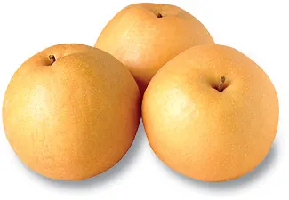 Asian Apple Pear