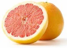 Large Grapefruit