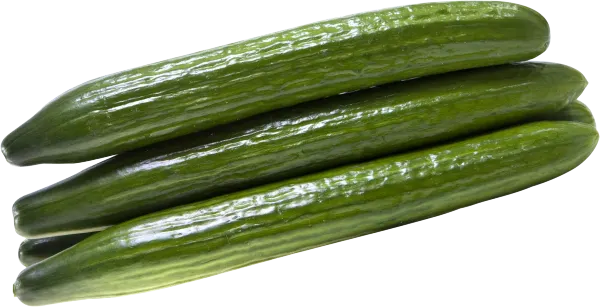 Long English Hot House Cucs