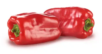 Pepper Red Fancy Holland