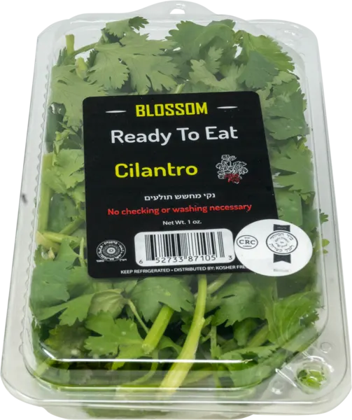 Ready To Eat Cilantro Checked