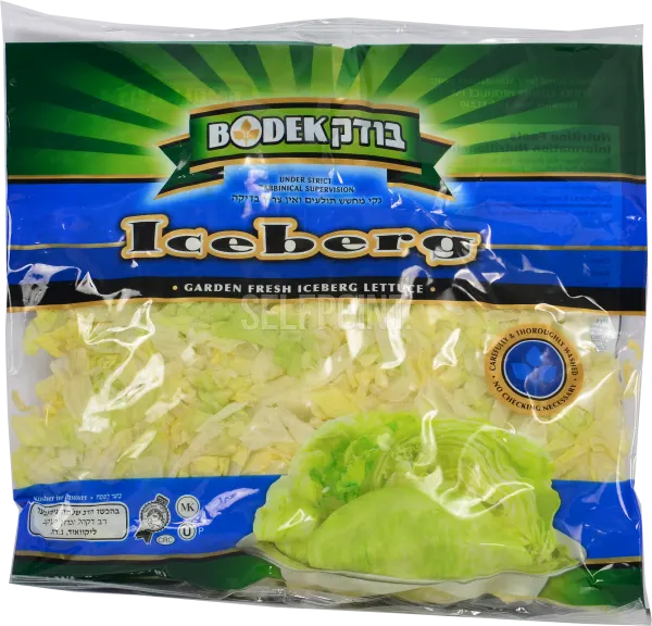 Iceberg