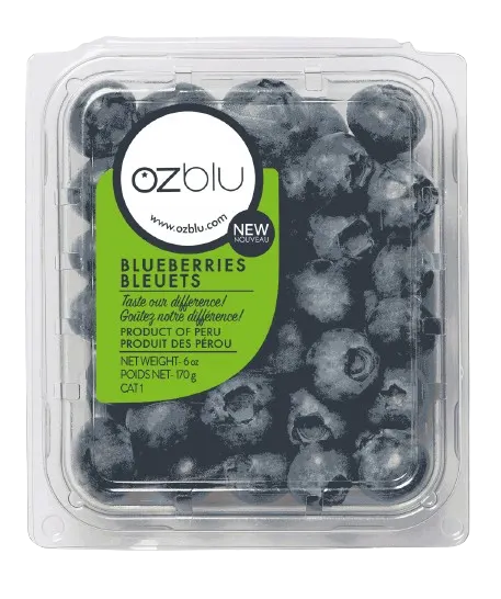 Fresh Blueberries