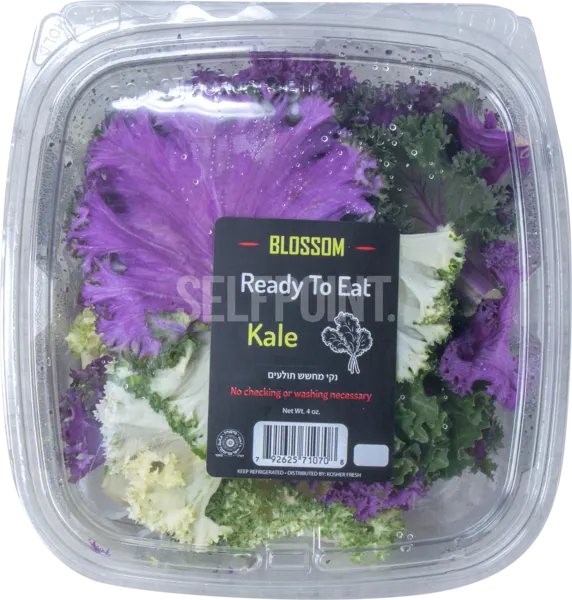 Ready To Eat Kale