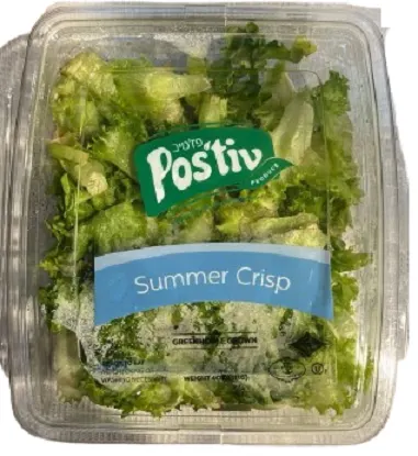 Summer Crisp Lettuce