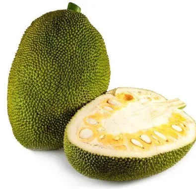 Jack Fruit