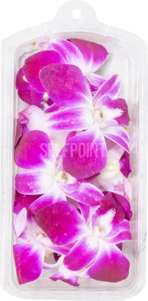 Edible Orchid