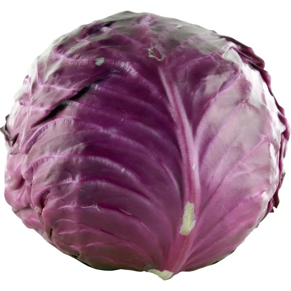 Organic Red Cabbage