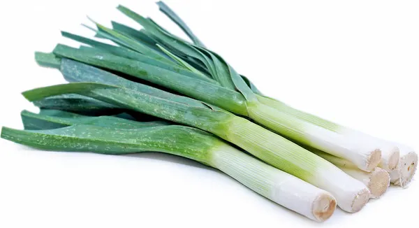 Leek