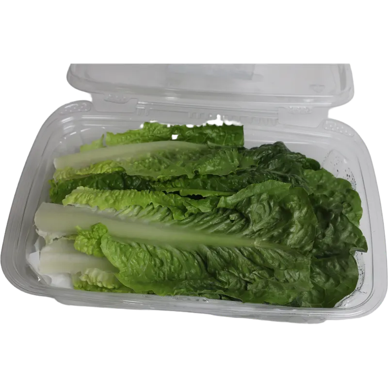 Romaine Lettuce Washed & Checked